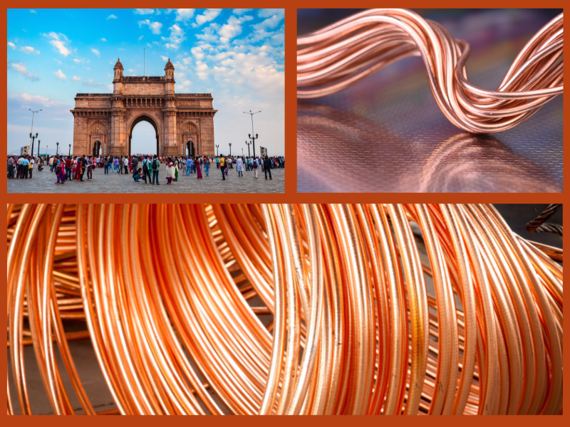 Trang Thông Tin Xuất Nhập Khẩu IMEX NEWS