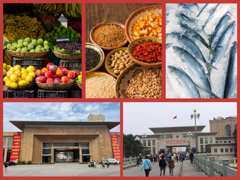 Trang Thông Tin Xuất Nhập Khẩu IMEX NEWS