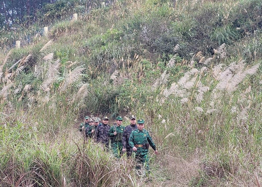 Trang Thông Tin Xuất Nhập Khẩu IMEX NEWS