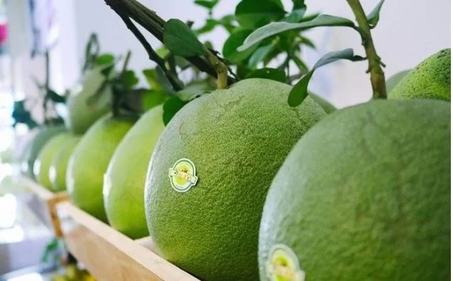 Trang Thông Tin Xuất Nhập Khẩu IMEX NEWS