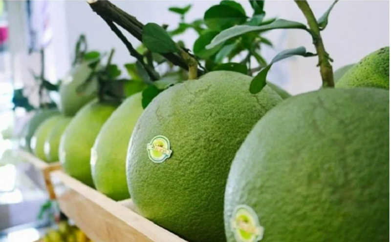 Trang Thông Tin Xuất Nhập Khẩu IMEX NEWS