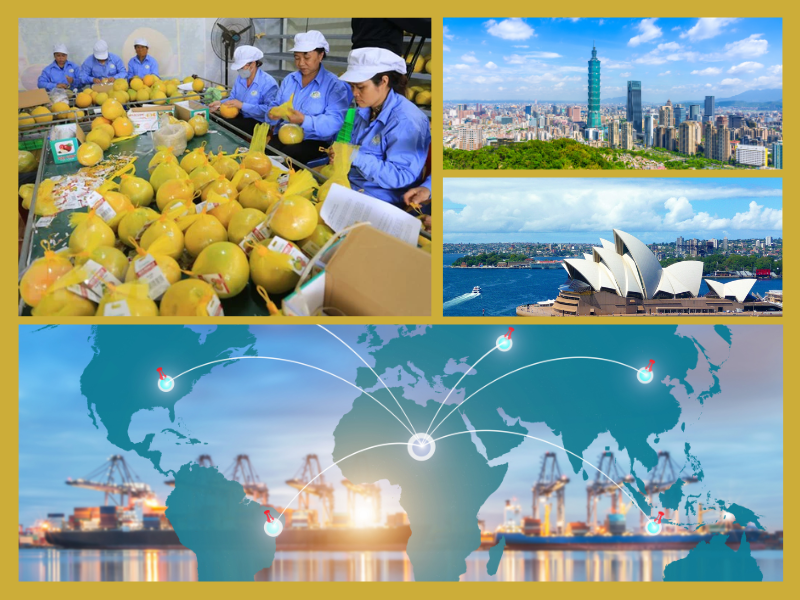 Trang Thông Tin Xuất Nhập Khẩu IMEX NEWS