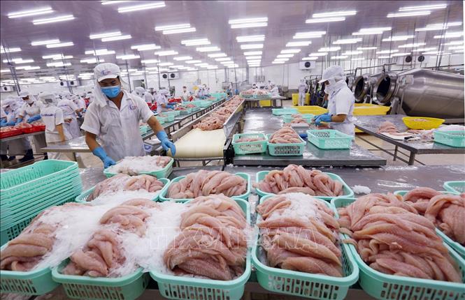 Cần tìm nhà cung cấp dứa đóng lon, cá ba sa, khoai môn và cải bắp tươi cho Doanh nghiệp Đài Loan