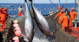 Trang Thông Tin Xuất Nhập Khẩu IMEX NEWS