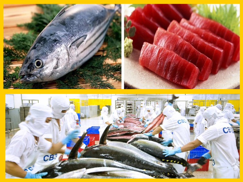 Trang Thông Tin Xuất Nhập Khẩu IMEX NEWS