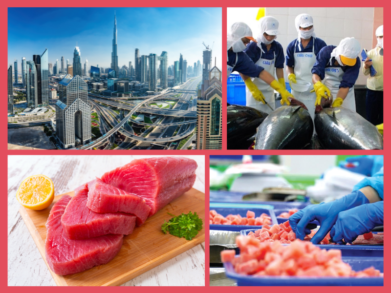 Trang Thông Tin Xuất Nhập Khẩu IMEX NEWS