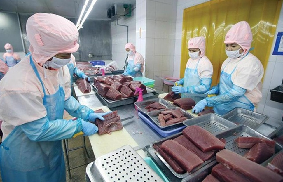 Trang Thông Tin Xuất Nhập Khẩu IMEX NEWS