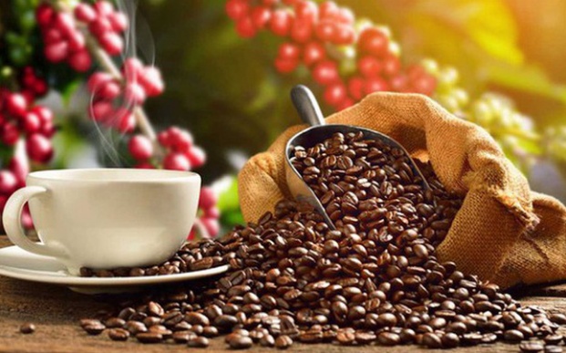 Trang Thông Tin Xuất Nhập Khẩu IMEX NEWS