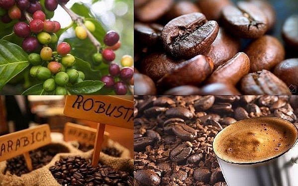 Trang Thông Tin Xuất Nhập Khẩu IMEX NEWS
