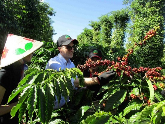 Trang Thông Tin Xuất Nhập Khẩu IMEX NEWS