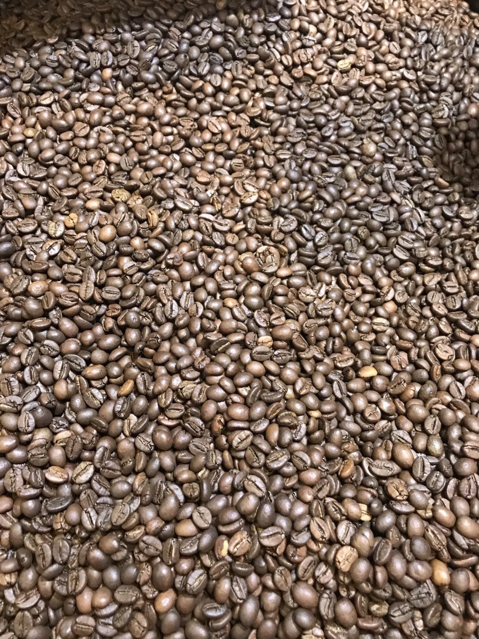 Trang Thông Tin Xuất Nhập Khẩu IMEX NEWS