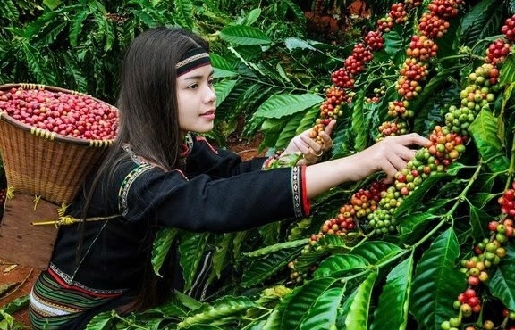 Trang Thông Tin Xuất Nhập Khẩu IMEX NEWS