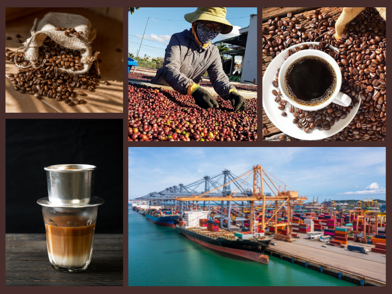 Trang Thông Tin Xuất Nhập Khẩu IMEX NEWS