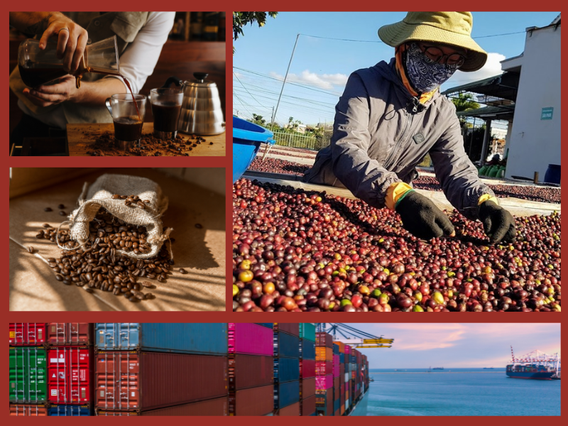 Trang Thông Tin Xuất Nhập Khẩu IMEX NEWS