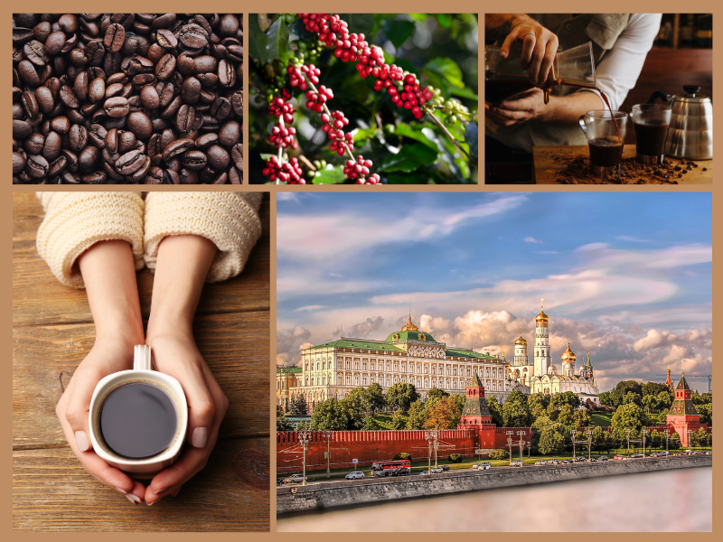 Trang Thông Tin Xuất Nhập Khẩu IMEX NEWS