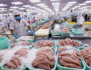 Trang Thông Tin Xuất Nhập Khẩu IMEX NEWS