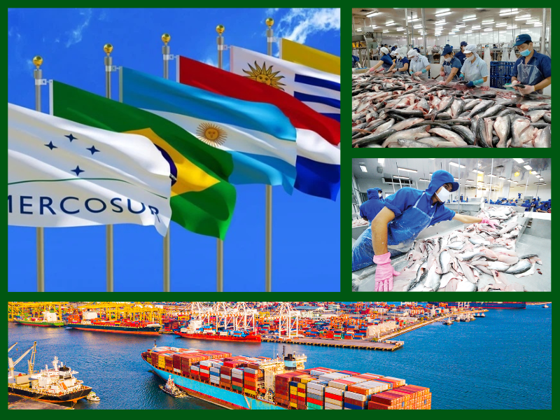 Trang Thông Tin Xuất Nhập Khẩu IMEX NEWS