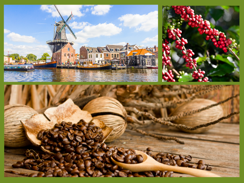 Trang Thông Tin Xuất Nhập Khẩu IMEX NEWS