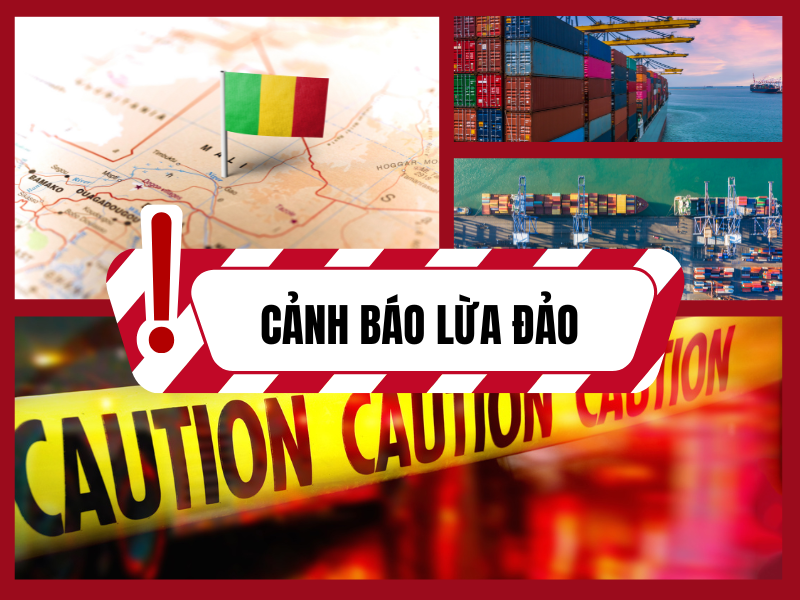 Trang Thông Tin Xuất Nhập Khẩu IMEX NEWS