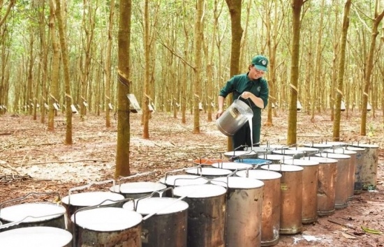 Trang Thông Tin Xuất Nhập Khẩu IMEX NEWS