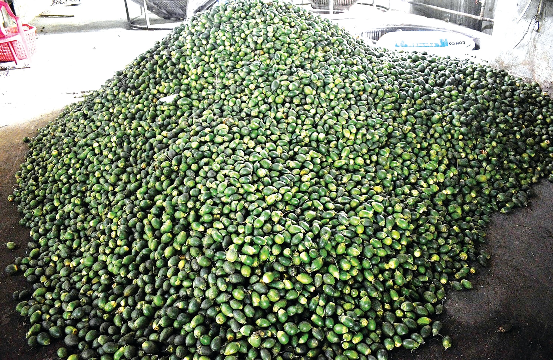 Trang Thông Tin Xuất Nhập Khẩu IMEX NEWS