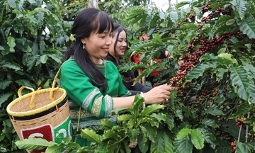 Trang Thông Tin Xuất Nhập Khẩu IMEX NEWS