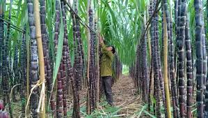 Trang Thông Tin Xuất Nhập Khẩu IMEX NEWS