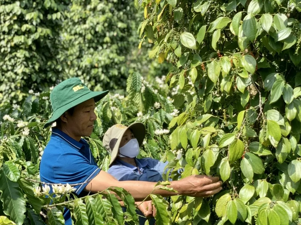 Trang Thông Tin Xuất Nhập Khẩu IMEX NEWS
