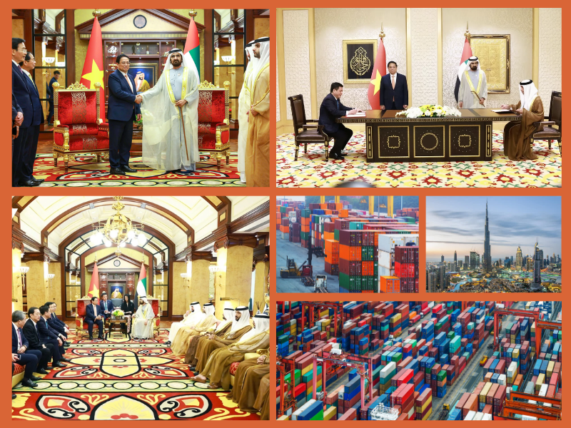 Trang Thông Tin Xuất Nhập Khẩu IMEX NEWS