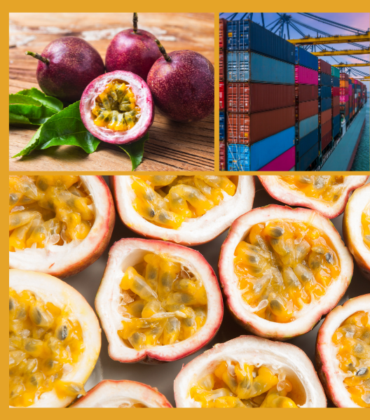 Trang Thông Tin Xuất Nhập Khẩu IMEX NEWS