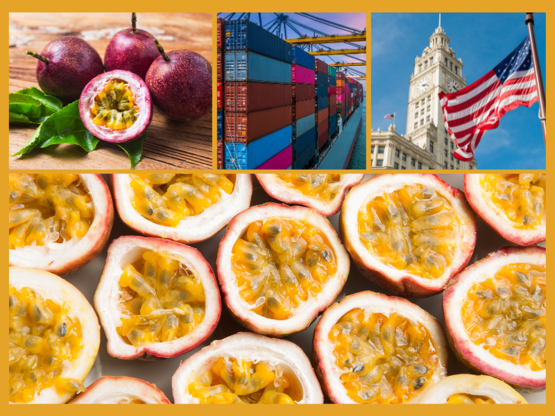 Trang Thông Tin Xuất Nhập Khẩu IMEX NEWS