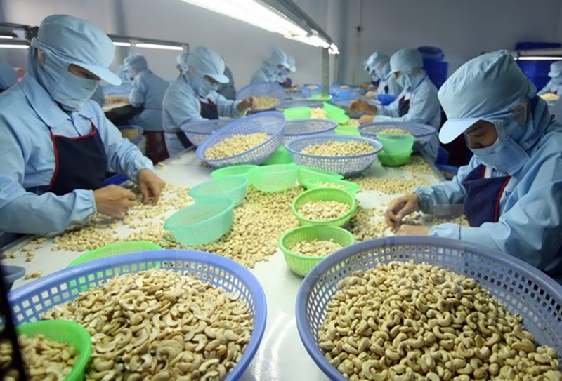 Trang Thông Tin Xuất Nhập Khẩu IMEX NEWS