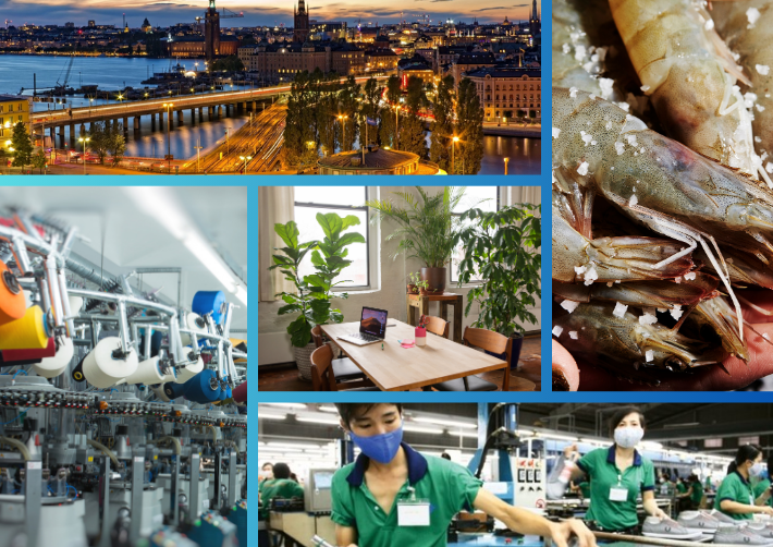 Trang Thông Tin Xuất Nhập Khẩu IMEX NEWS