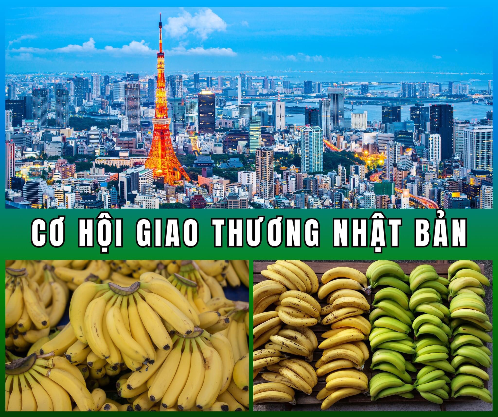 Trang Thông Tin Xuất Nhập Khẩu IMEX NEWS