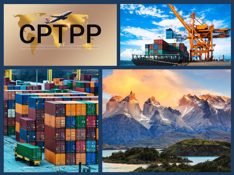 Trang Thông Tin Xuất Nhập Khẩu IMEX NEWS