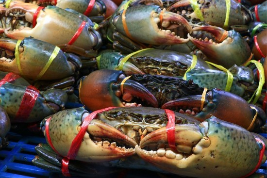 Trang Thông Tin Xuất Nhập Khẩu IMEX NEWS