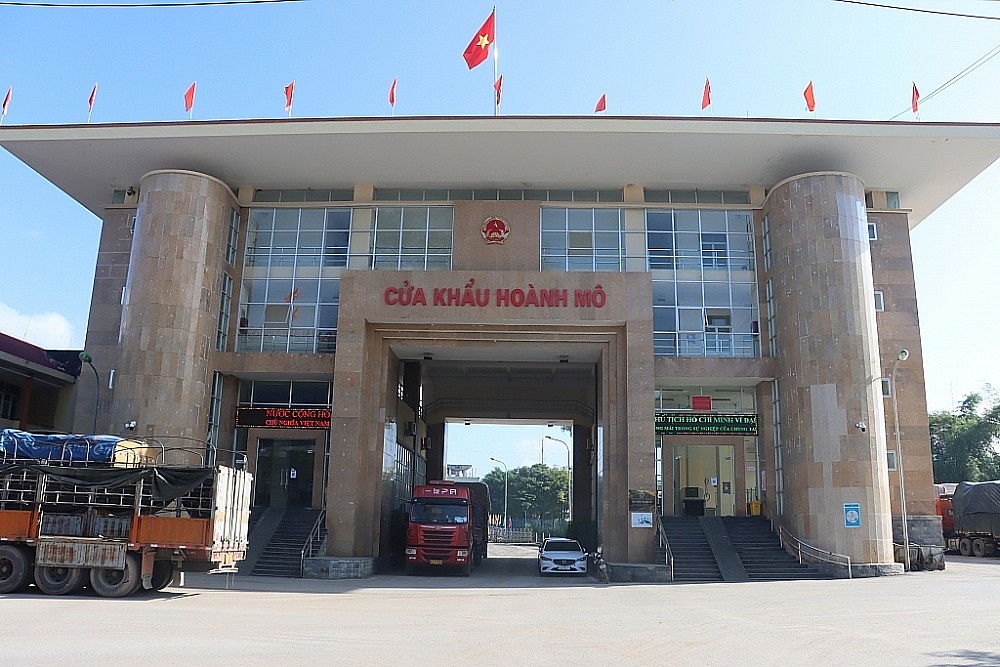 Trang Thông Tin Xuất Nhập Khẩu IMEX NEWS