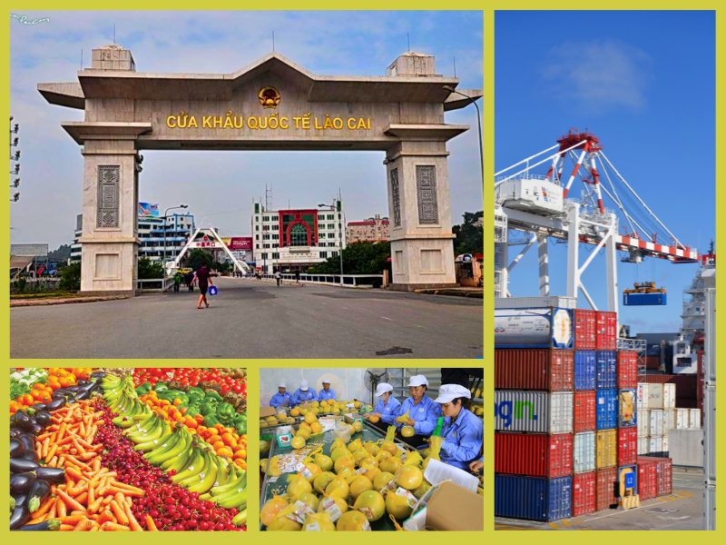 Trang Thông Tin Xuất Nhập Khẩu IMEX NEWS