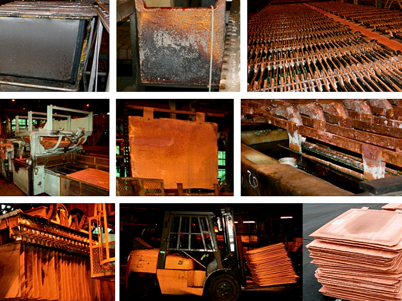 Trang Thông Tin Xuất Nhập Khẩu IMEX NEWS