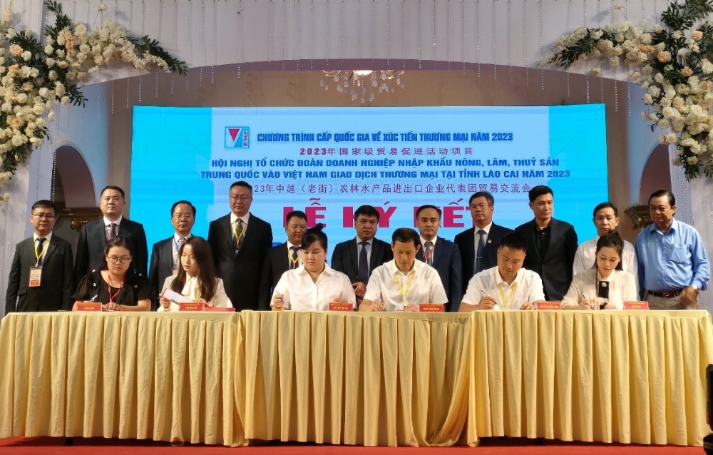 Trang Thông Tin Xuất Nhập Khẩu IMEX NEWS