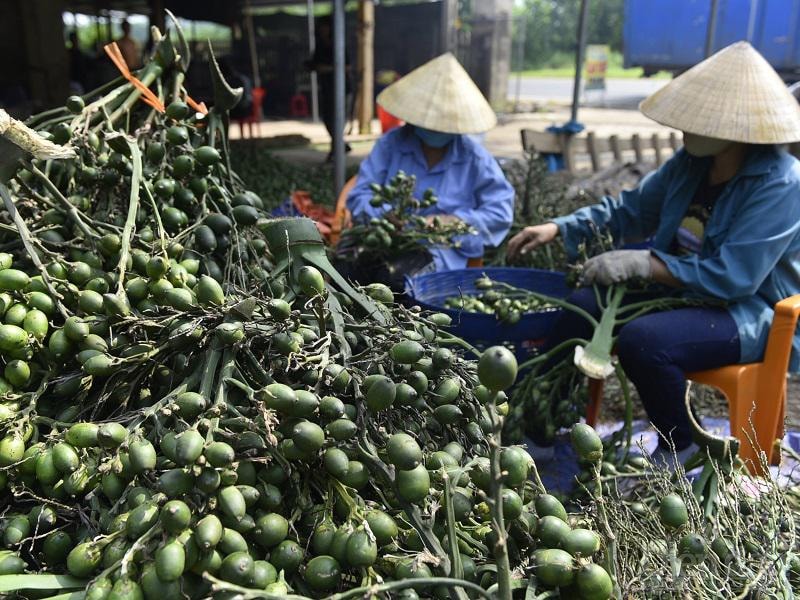 Trang Thông Tin Xuất Nhập Khẩu IMEX NEWS