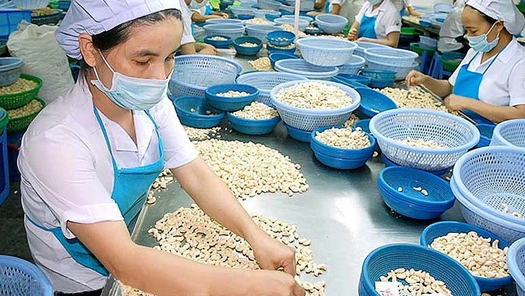 Trang Thông Tin Xuất Nhập Khẩu IMEX NEWS