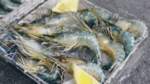 Trang Thông Tin Xuất Nhập Khẩu IMEX NEWS