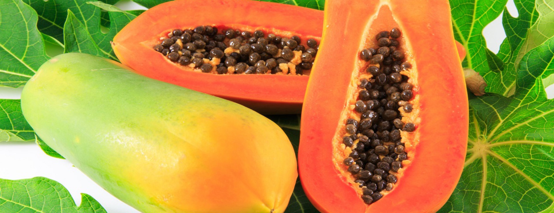 Trang Thông Tin Xuất Nhập Khẩu IMEX NEWS