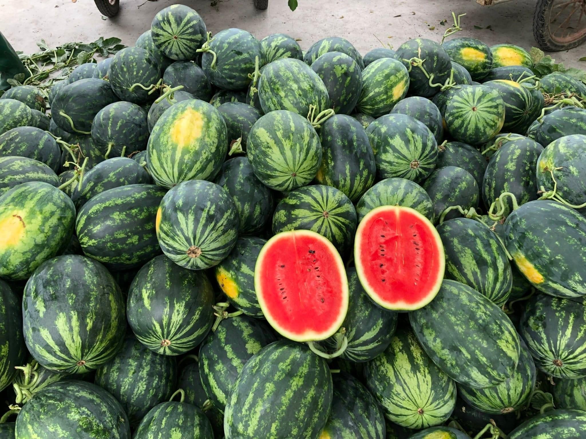 Trang Thông Tin Xuất Nhập Khẩu IMEX NEWS