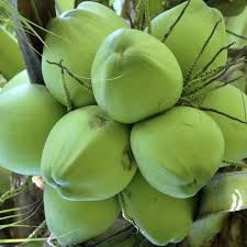 Trang Thông Tin Xuất Nhập Khẩu IMEX NEWS