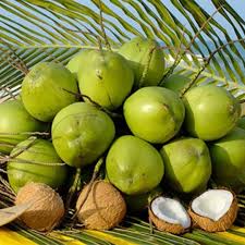 Trang Thông Tin Xuất Nhập Khẩu IMEX NEWS