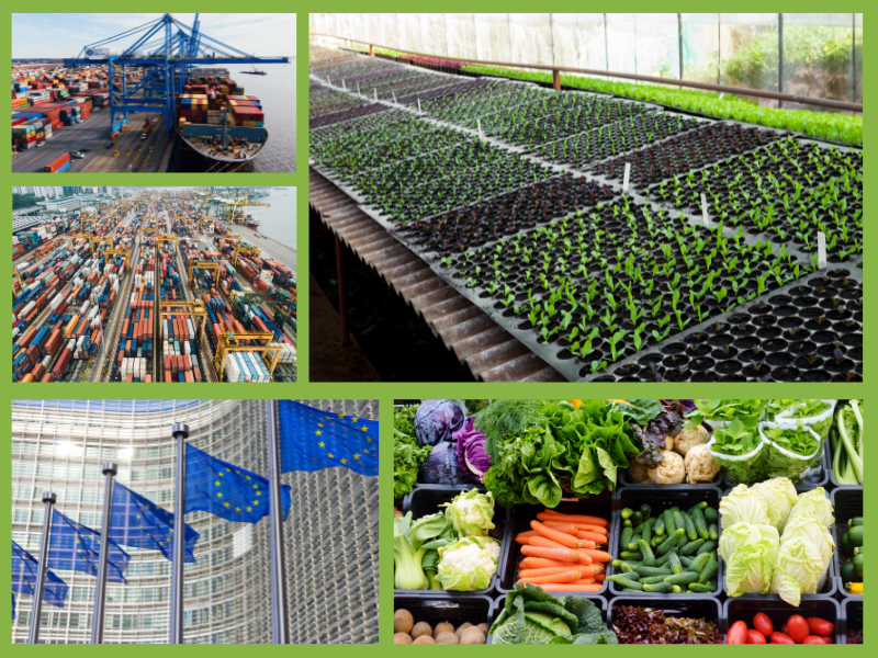 Trang Thông Tin Xuất Nhập Khẩu IMEX NEWS