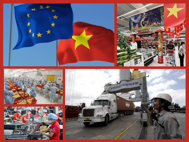 Trang Thông Tin Xuất Nhập Khẩu IMEX NEWS