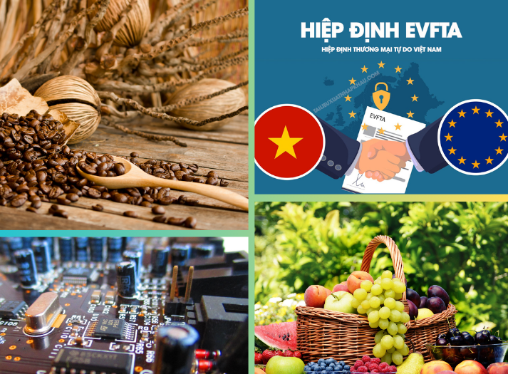 Trang Thông Tin Xuất Nhập Khẩu IMEX NEWS